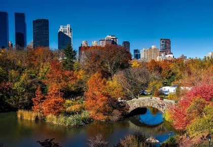 Central Park, New York